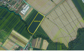 Land for sale, Šišov