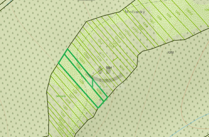 Pozemky: trvalý trávny porast, 2232 m2, k.ú. Morovno, okres Prievidza