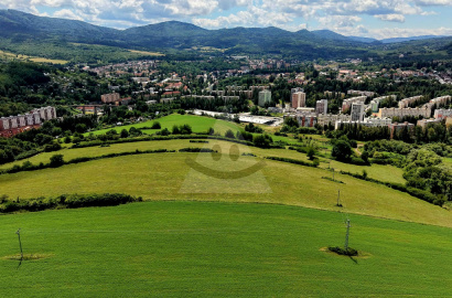 For sale a large agricultural land, Handlová 81 674 m2